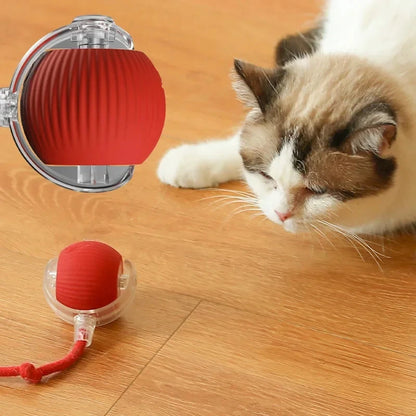 Giocattolo per gatti, palla auto-eccitante, palla che rotola, palla per gatti, giocattolo ...