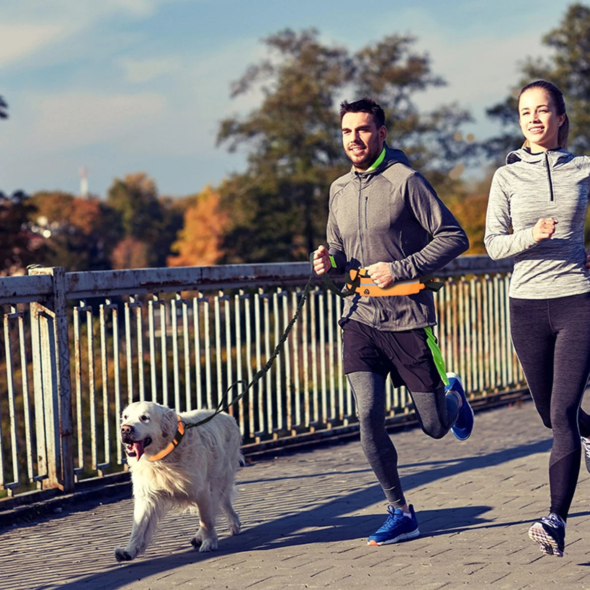 Correa para perros con manos libres, correa reflectante con riñonera, cinturón elástico retráctil, cuerda de tracción para perros para correr, caminar, productos para mascotas