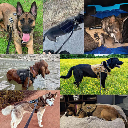 Arnés para perros grandes, correa, bolsas Molle, chaleco de entrenamiento para caminar, arneses para perros medianos